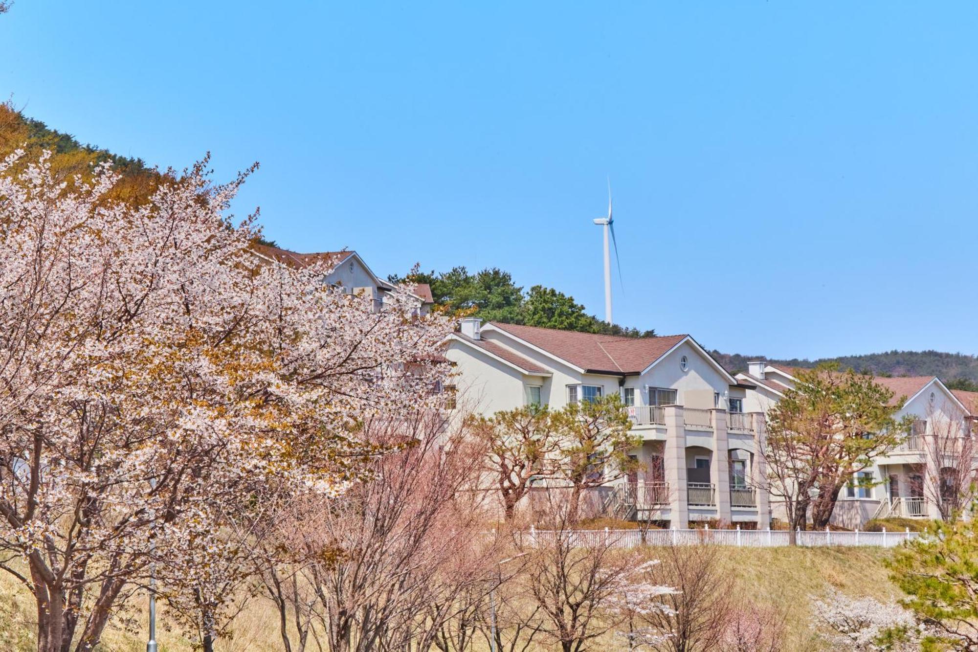 Gyeongju Mauna Ocean Resort Dış mekan fotoğraf