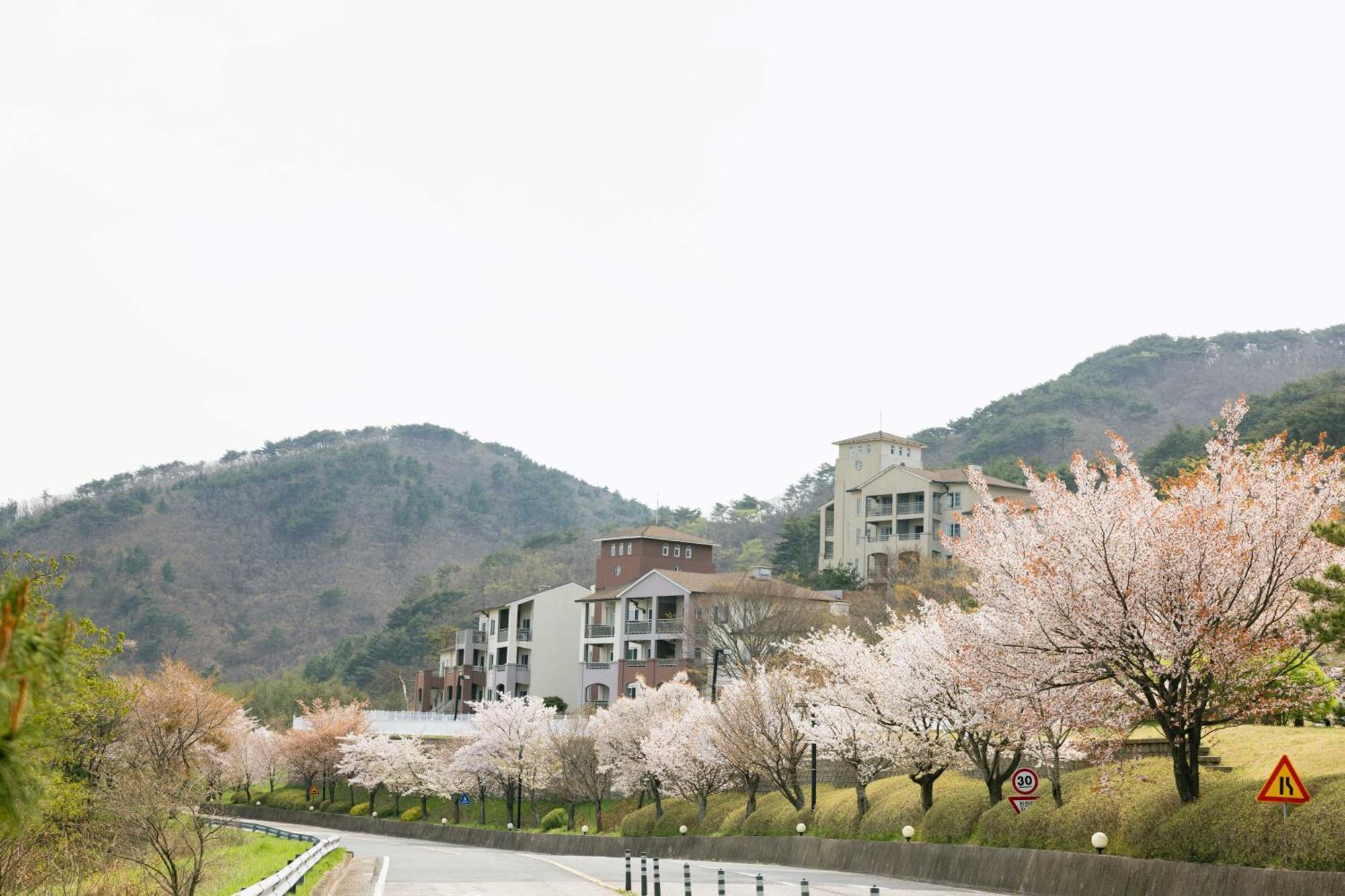 Gyeongju Mauna Ocean Resort Dış mekan fotoğraf