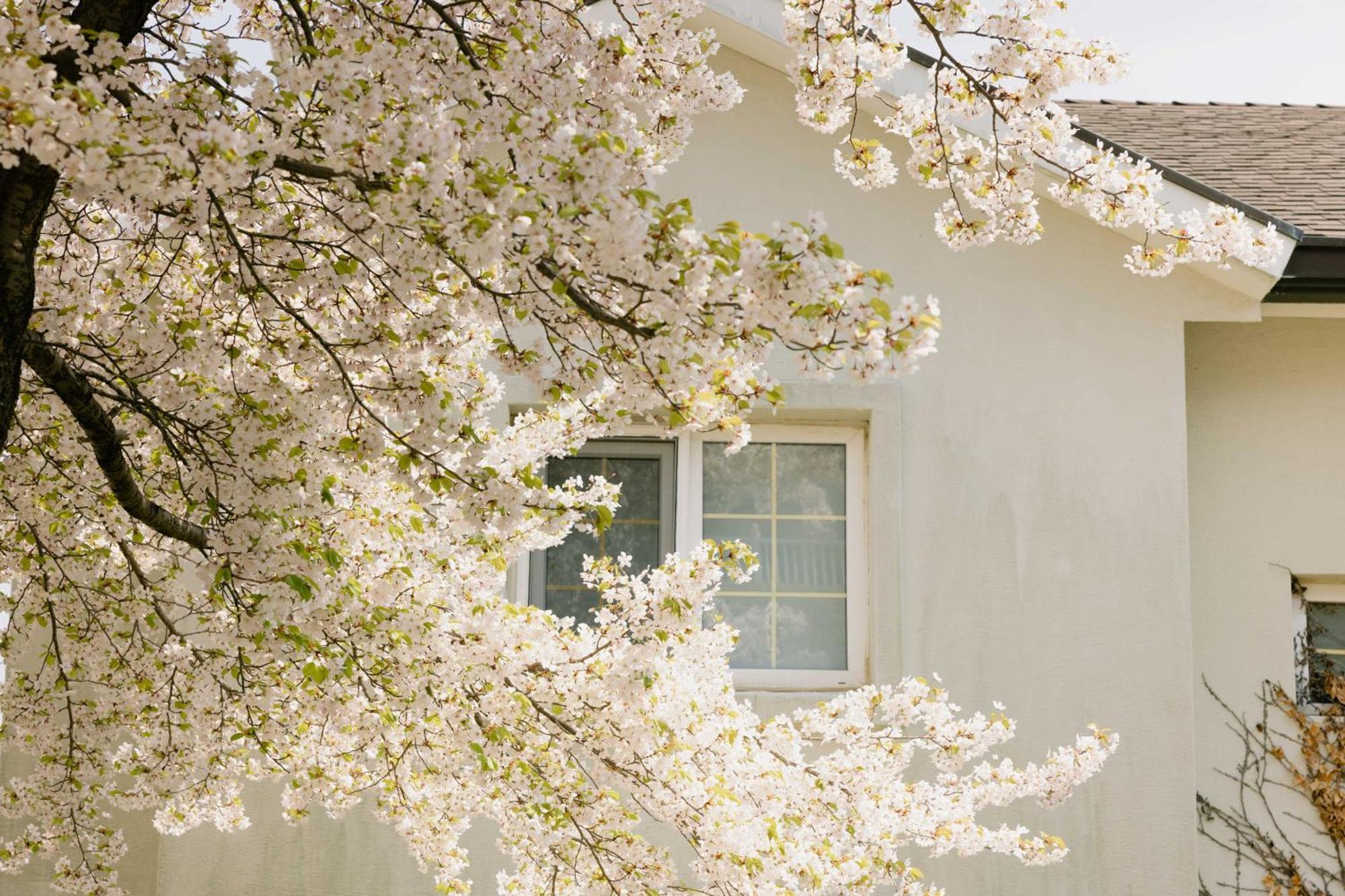 Gyeongju Mauna Ocean Resort Dış mekan fotoğraf