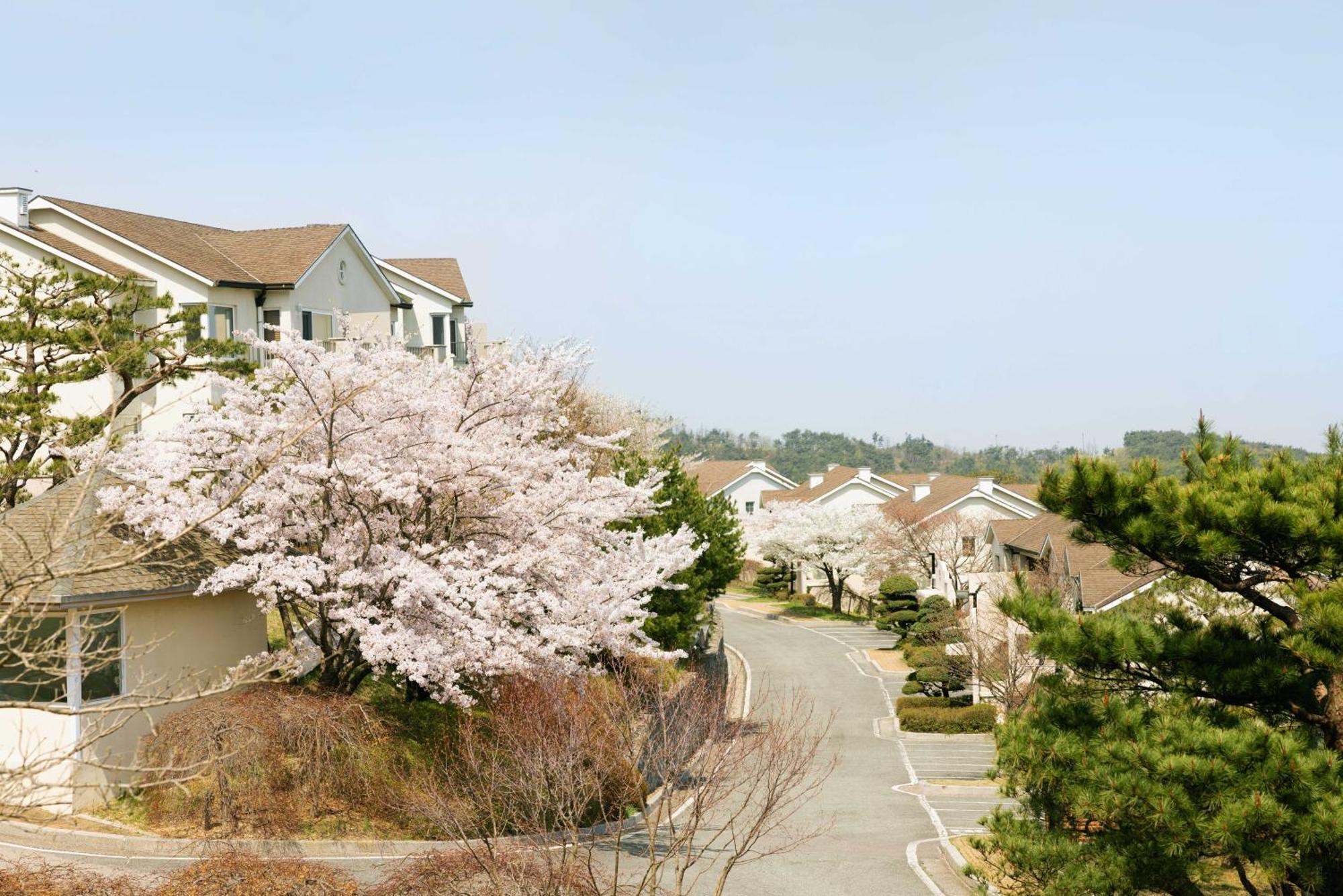 Gyeongju Mauna Ocean Resort Dış mekan fotoğraf