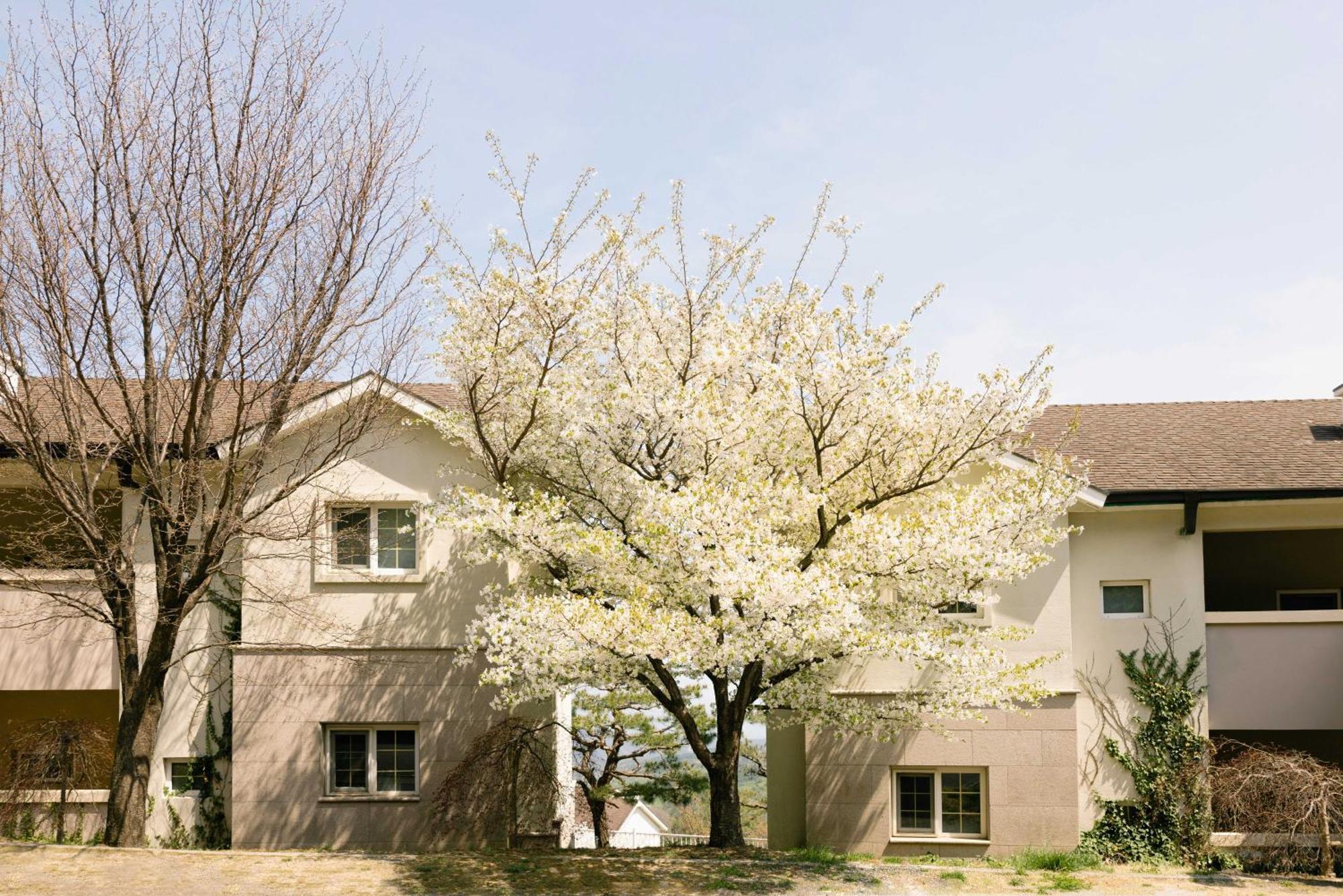 Gyeongju Mauna Ocean Resort Dış mekan fotoğraf